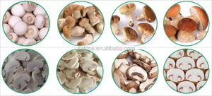 Máquina Cortadora de Champiñones Automática de Acero Inoxidable para el Procesamiento de Champiñones Frescos, Máquina de Corte de Champiñones Frescos de Alta Eficiencia - Product Image 3