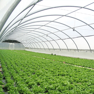 Commercial Single Span Gothic Tunnel Film Greenhouse Heavy Duty Galvanized Steel <b>Frame</b> Crop Cultivation Chamber Facility - Product Image 5