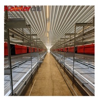 Bien-être nichoir de poulet collecte d'œufs volaille cage automatique système de parcours libre rouleau poules pondeuses système de volière pour