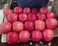 China Nieuwe Oogst Rood Groen Appelfruit Groothandelsprijs Chinese Rode Fuji Verse Fuji Appelfruit Verse Appels