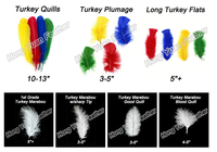 Plumes de dinde blanches teintées en gros pour artisanat, bricolage, coiffes, chapeaux, costumes, accessoires de cosplay, carnaval, fête, mariage