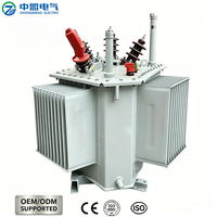 Transformateur triphasé immergé dans l'huile à double enroulement 100 kVA 6 kVA pour la distribution d'énergie des communautés résidentielles (ZM-S22-M-RL)