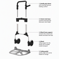 Chariot de manutention pliable professionnel en aluminium robuste, capacité de stockage 200 kg, conception intelligente, OEM, portable pour le shopping