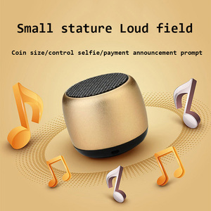 Trending Wireless <strong>Mini</strong> Professional Speaker Subwoofer TWS Outdoor Portable Blotooth <strong>Mini</strong> Speaker Metal Small Steel Cannon Sou - Product Image 3