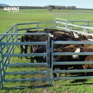 Chất lượng cao Úc xách tay nặng Vòng Hàng rào tấm cho các trang trại gia súc - Product Image 6
