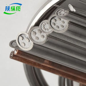 สายไฟฟ้าเทอร์โมคัปเปิลแบบหุ้มฉนวนแร่ชนิด <span class=keywords><strong>K</strong></span> ความบริสุทธิ์สูง 99.6% ปรับแต่งได้ สำหรับงานก่อสร้าง - Product Image 3