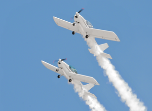 Aereo Leggero Biposto Privato SA60L Monomotore Sportivo in Vendita - Product Image 2