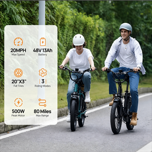 Vélo de ville électrique à pneus larges de 20 pouces, <span class=keywords><strong>moteur</strong></span> arrière, 48V 13Ah 250W, 7 vitesses, écran LCD, service OEM ODM, expédié de Chine - Product Image 2