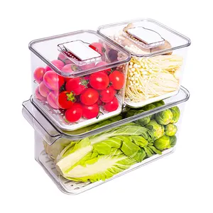 Food Grade PET Organize Containers Box Plastic Food Refrigerator Storage Bin Set with Lid