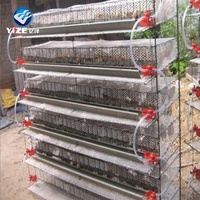 Système d'alimentation professionnel pour cages à cailles (fabricant)