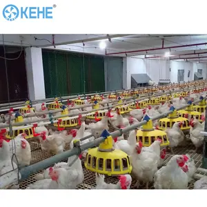 KEHE-sistema automático de agua para pollos, alimentadores y bebedores de aves de corral