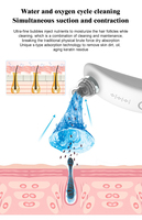 Appareil facial sans fil portable, rechargeable par USB, idéal pour les voyages, extraction des points noirs, hydratation de la peau, appareil de beauté