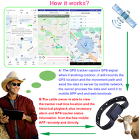 Traceur GPS 4G LTE Beidou solaire étanche 15000 mAh pour bovins, chevaux, chameaux avec suivi en temps réel et prise en charge PC, garantie 1 an