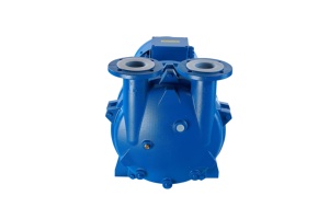Hava ovma 2BV su halkası vakum pompası - Product Image 4
