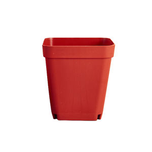 Vaso di semina per piante succulente da interno in plastica quadrata ecologica per l'orticoltura di vendita calda - Product Image 1