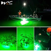 Lampe de Pêche LED Sous-Marine 12V pour Calamars avec 5 Mètres de Lumière Émise Verte Bleue Jaune Blanche, Étanche pour la Pêche en Mer