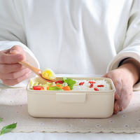 Boîtes de rangement alimentaire pour enfants de style japonais en plastique PP à 3 compartiments, à double niveau, sans BPA, OEM, boîte à bento pour la préparation des repas