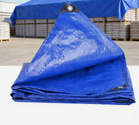 Bâche imperméable en PE enduit pour jardin, extérieur, bateau, camion, abri pour animaux, couverture de toit, bâche en PE résistante à l'eau