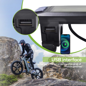 Bộ chuyển đổi xe đạp điện P3H [Haytrix] với màn hình màu trung tâm, sạc USB dọc, đồng hồ tốc độ hoạt hình, dành cho xe đạp béo - Product Image 4