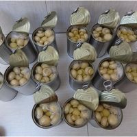 Hongos Enlatados en Salmuera de la Marca OEM Fresh Pack, con 36 Meses de Vida Útil, Almacenamiento a Temperatura Ambiente, Listos para Comer