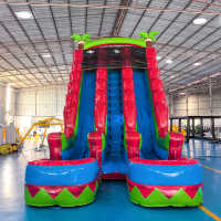 Vente directe - Toboggan aquatique gonflable double piste de qualité commerciale, en PVC, capacité 500 kg, portable pour parc d'aventure