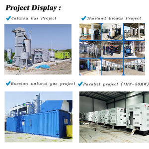 אורז קליפות עץ גלולה sawwerided מיטה ביומסה גז גנרטור כוח צמח כוח למכירה - Product Image 6