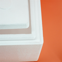 Boîte d'expédition isotherme pour aliments congelés Thermo Chill, boîte d'expédition isotherme réutilisable en polystyrène avec couvercle, glacière en polystyrène