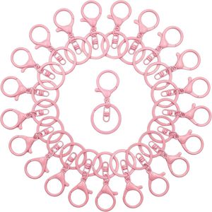 Lot de fermoirs mousquetons en métal pour porte-clés, grands fermoirs mousquetons plats, anneaux de porte-clés, clips pour sacs et porte-clés - Product Image 1