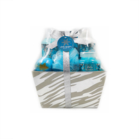 Ensemble cadeau d'autosoin OEM Private Label Soins corporels hydratants Cadeau de bain Kit de spa Ensemble cadeau Lotion pour le corps Ensemble de lavage corporel 2024 2024