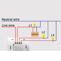 Interrupteur intelligent Wi-Fi Tuya certifié CE RoHS en aluminium avec commande vocale à distance pour Google Home et Smart Life 220V