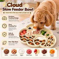 Station d'alimentation pour animaux de compagnie moderne et mignonne en forme de nuage, tapis en silicone pour nourriture avec bol séparé, facile à nettoyer, accessoires d'alimentation pour chiens et chats
