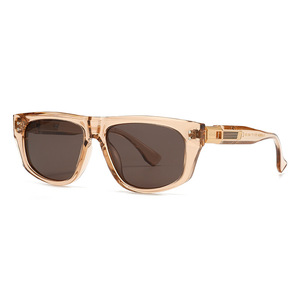 Custom Logo 2026 Vintage Unisex Big Frame Square <b>Sun</b> Glasses UV400 <b>Shades</b> Polygon Polarized Sunglasses for Men Women - Product Image 4
