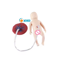 Modelo de Enfermería de ciencia médica avanzada, cuidado del cordón umbilical neonatal, modelo de enseñanza de placenta y recién nacido para escuelas y hospitales