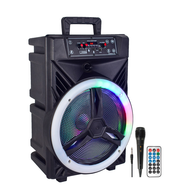 AIlipu 12 Inch Outdoor Portable Wireless Speaker