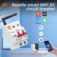 Disjoncteur DC WiFi Tuya Smart 1P 10V-100V, Télécommande Sans Fil avec Alexa, Google Assistant, Yandex Alice pour Maison Intelligente