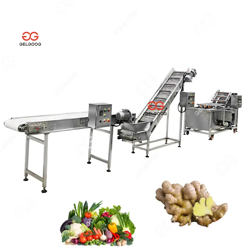 Air Bubble Vegetables Washer Equipment Medium Scale Ginger Peeling Machine Commercial Ginger Washing and Peeling Line