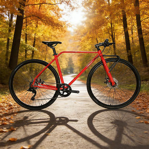 Roues en acier 700C très demandées : Roues en alliage à double paroi 700C E: 700C * 35C, frein à disque noir - Product Image 5