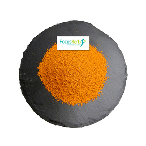 FocusHerb pigmento natural curcumina en polvo Extracto de raíz de cúrcuma 95% curcumina - Product Image 3