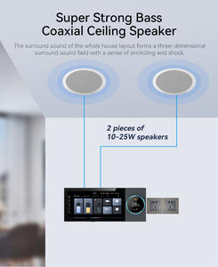 2025 seguridad dorada <span class=keywords><strong>6</strong></span> pulgadas Wifi Android Tuya Zigbee <span class=keywords><strong>Panel</strong></span> de <span class=keywords><strong>Control</strong></span> de hogar inteligente con AMPLIFICADOR DE POTENCIA DE MÚSICA compatible con 2 altavoces - Product Image 6