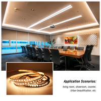 Bande lumineuse LED flexible haute efficacité 112 LED, double couche PCB, 2200K 6500K 24V, pour la décoration d'hôtels, de bureaux et de bâtiments