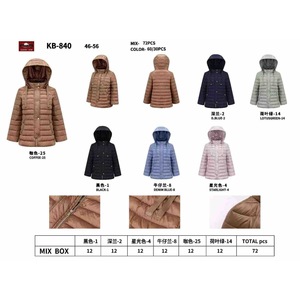 Manteau léger en coton pour femmes, grande taille, FB41 46-56, couleurs mélangées, à capuche, vêtements d'extérieur d'hiver - Product Image 3