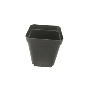 Prix usine Petit 55MM Plastique PP Carré Plante Succulente Pot De Pépinière