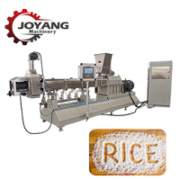 Ligne de traitement du riz artificiel toutes capacités, machine extrudeuse de riz nutritionnel à double vis