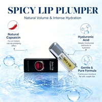 Gloss repulpant pour les lèvres, effet piquant, OEM, marque privée, logo personnalisé, vente en gros, produit de beauté naturel pour les lèvres