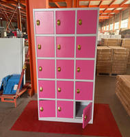 Casier de porte moderne 9 12 15 18 pour les bureaux, la salle de sport et les écoles-Casiers de rangement en métal en acier avec revêtement en poudre Armoire à vêtements en plastique