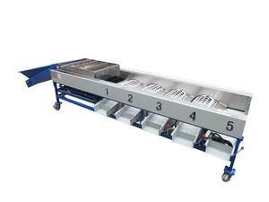 Máquina Clasificadora de Frutas Multifuncional y Duradera para Naranjas y Aguacates, Fabricada en China, para Clasificar Vegetales - Product Image 5