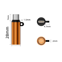 Briquet miniature de type C, briquet coupe-vent, allumeur de fumée extérieur, adaptateur USB-C, adaptateur de sécurité