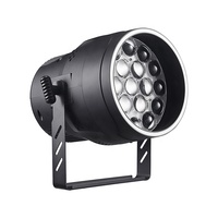 Luz Par LED RGBW con Zoom de 19x15w, IP33, DMX, RDM, para Interiores, para Escenarios, DJ, Bodas, Iluminación Par Uplight, Big Dipper