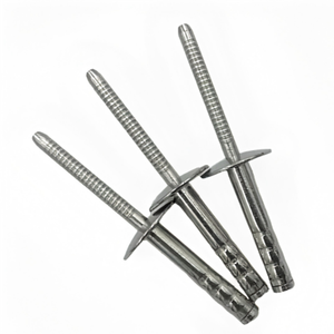 Remache Ciego de Acero Inoxidable 304 C235 Zn 10/62 con Núcleo de Extracción, Remache Sólido Tipo Extracción, Perno Ciego M5 - Product Image 1