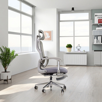 Chaise de bureau ergonomique moderne entièrement en maille, dossier réglable, hauteur du siège réglable, base en acier inoxydable - Direct usine, garantie 2 ans